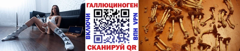 сайты даркнета официальный сайт  Россошь  Псилоцибиновые грибы прущие грибы 